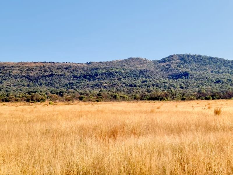 Prime Farmland Close to Buffelspoort Dam at Reduced Bargain Price! - Photo 7