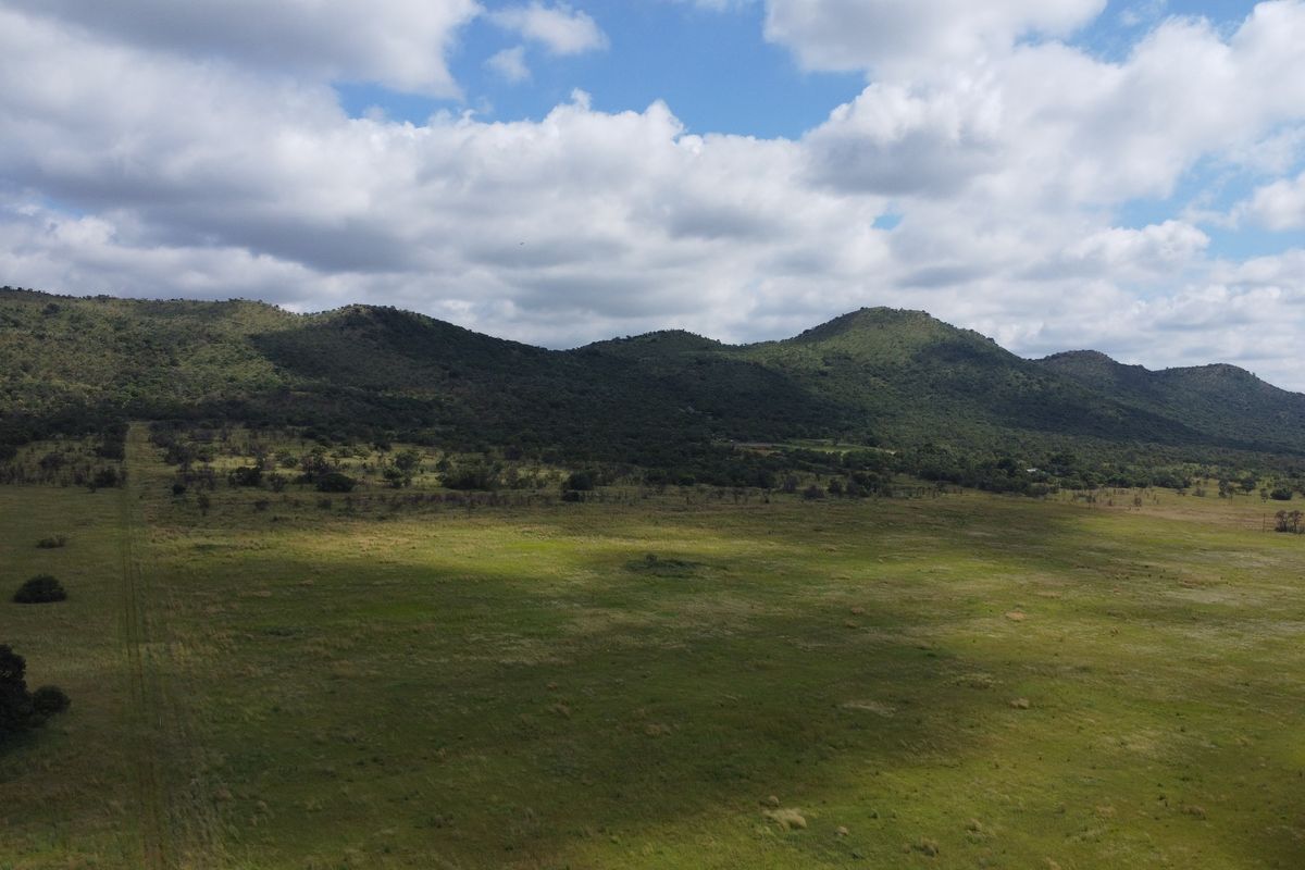 Prime Farmland Close to Buffelspoort Dam at Reduced Bargain Price! - Photo 5