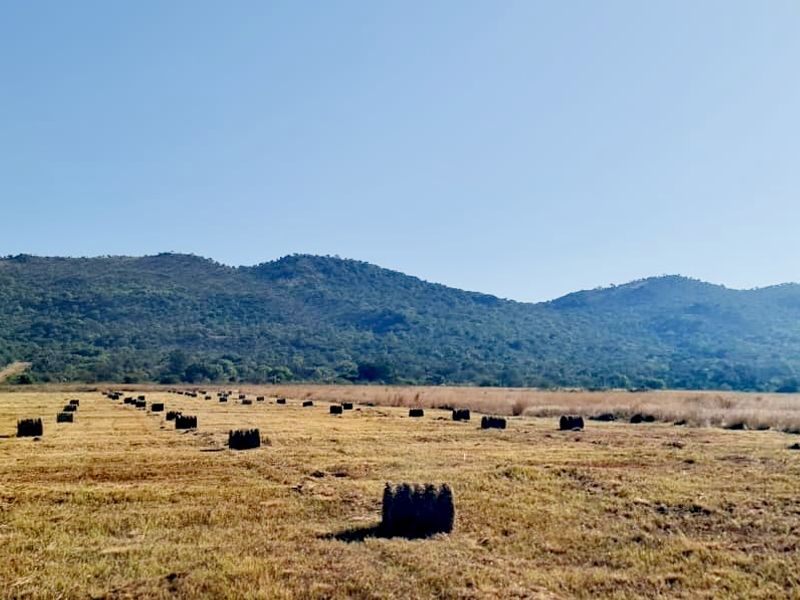 Prime Farmland Close to Buffelspoort Dam at Reduced Bargain Price! - Photo 3