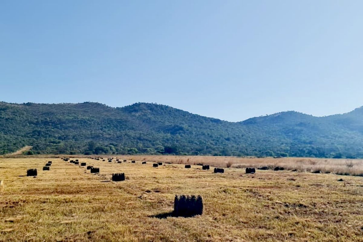 Prime Farmland Close to Buffelspoort Dam at Reduced Bargain Price! - Photo 3