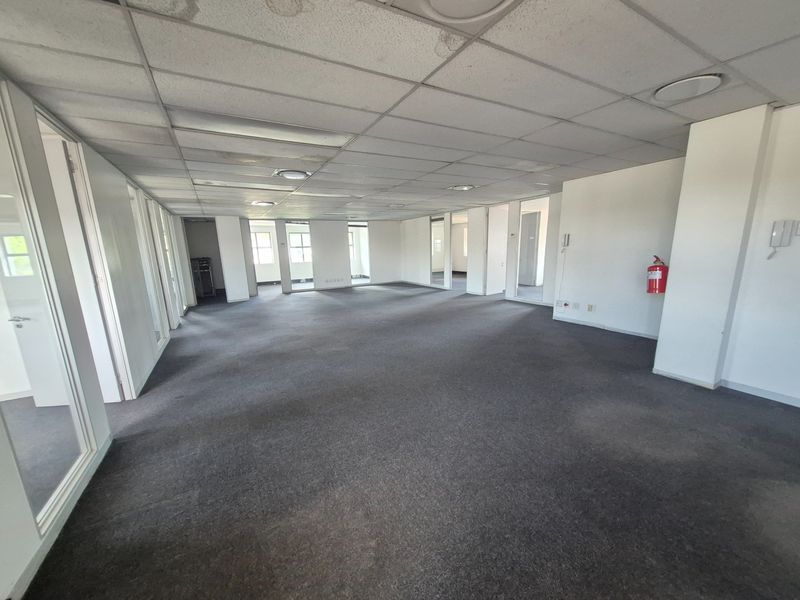 A spacious, open-plan office area featuring a suspended ceiling, recessed lighting, and glass partition doors, ready for custom fit-out.