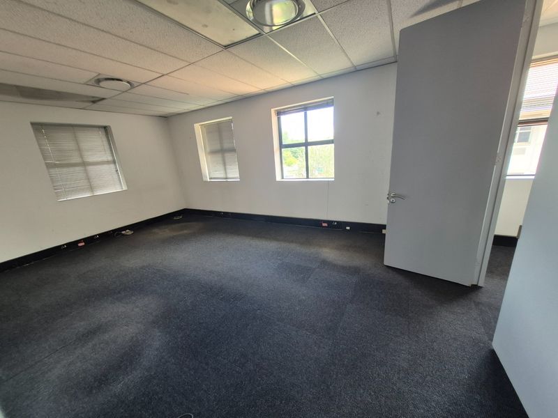 An empty office space featuring a suspended ceiling, recessed lighting, and carpeted flooring with multiple windows providing natural light.