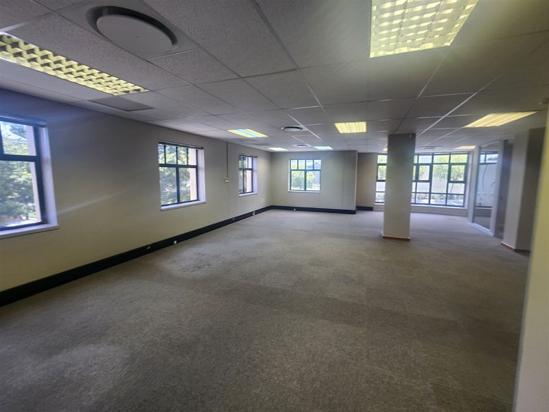 Spacious, open-plan office area featuring large windows, suspended ceilings with recessed lighting, and neutral carpeting throughout.