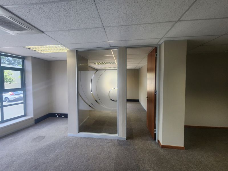 An empty office space featuring a glass partition wall with frosted detailing, suspended ceilings, recessed lighting, and carpeted flooring.