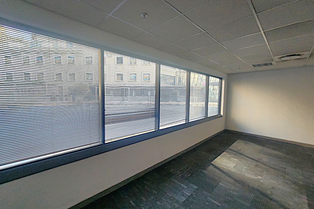 An empty office space featuring large windows with venetian blinds, a suspended ceiling, and carpeted flooring.