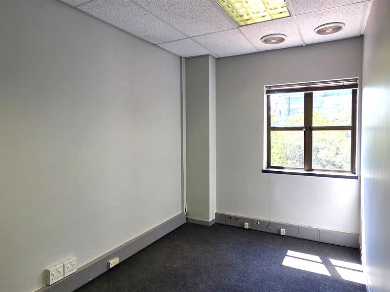 A clean, empty office space featuring carpeted flooring, a suspended ceiling with recessed lighting, and power skirting with integrated electrical outlets.