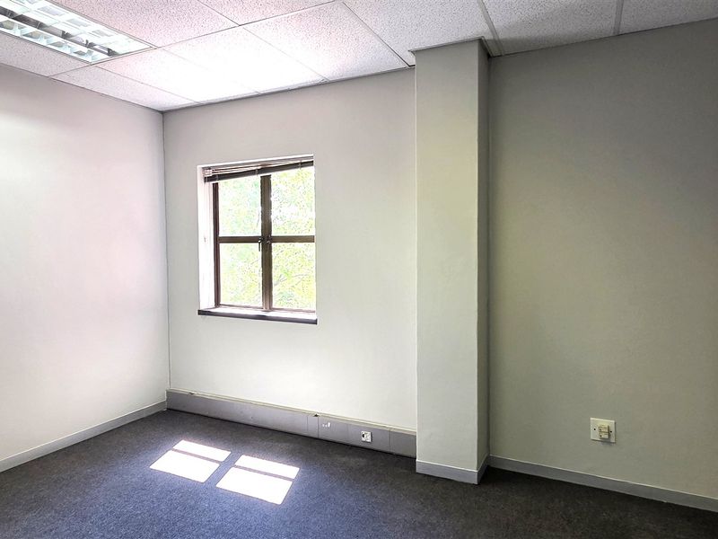A clean, empty office space featuring neutral walls, carpeted flooring, a suspended ceiling with recessed lighting, and a window providing natural light.