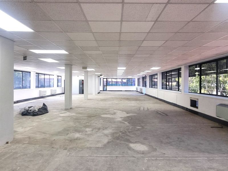A large, open-plan office space featuring a suspended ceiling, recessed lighting, and expansive windows, currently awaiting flooring installation.