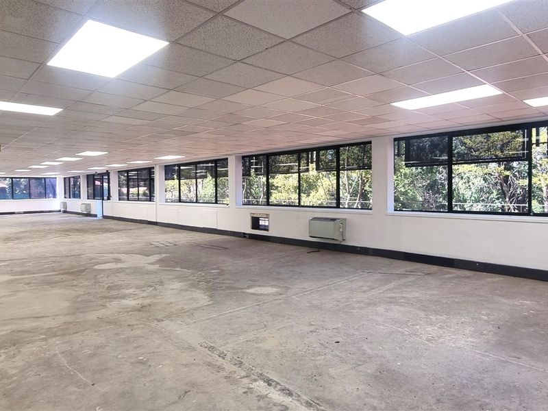 A large, open-plan office space featuring a suspended ceiling, recessed lighting, and expansive windows providing natural light and exterior views.
