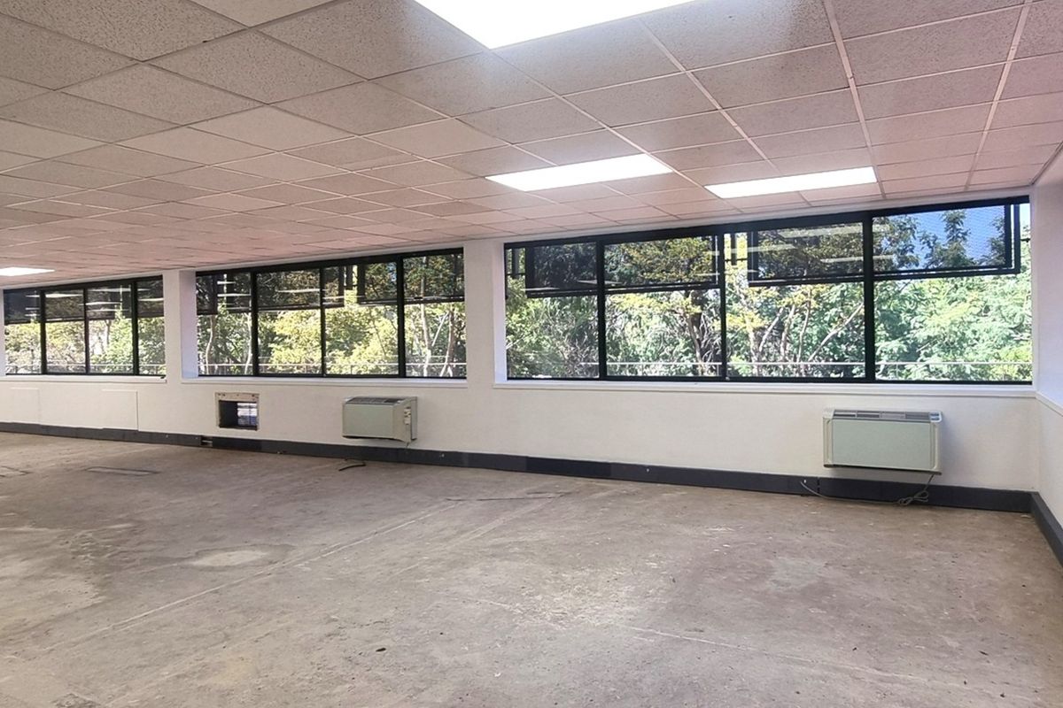 A spacious, empty office area featuring large windows with natural views, suspended ceilings, recessed lighting, and wall-mounted HVAC units.