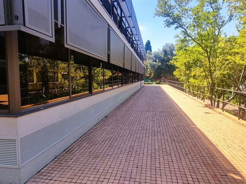 A paved exterior walkway running alongside a modern office building featuring large glass windows and external metal sun louvers.