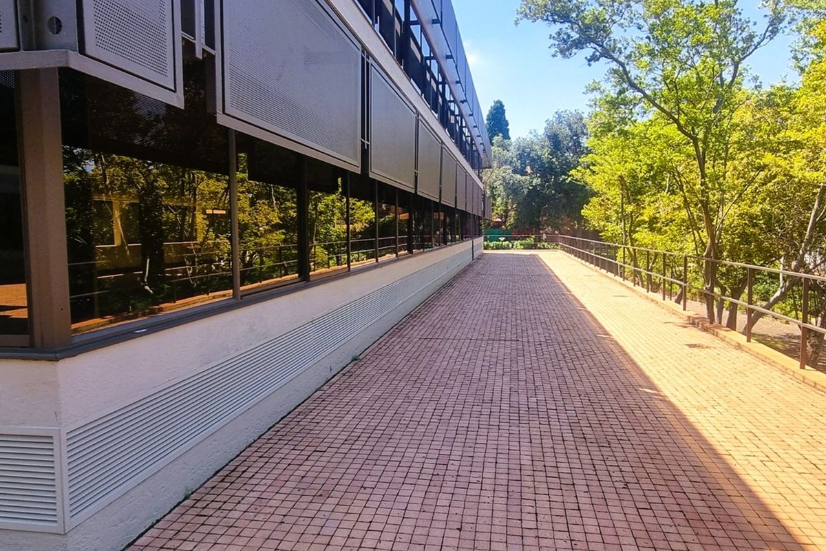 A paved exterior walkway running alongside a modern office building featuring large glass windows and external metal sun louvers.