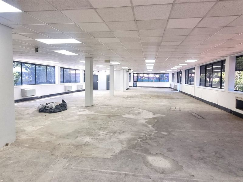 A large, open-plan office space featuring a suspended ceiling, recessed lighting, structural columns, and expansive windows providing ample natural light.