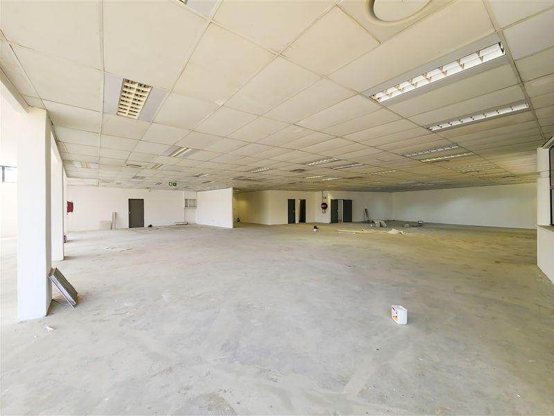 A large, open-plan office space featuring a suspended ceiling with recessed lighting, ready for custom fit-out and refurbishment.