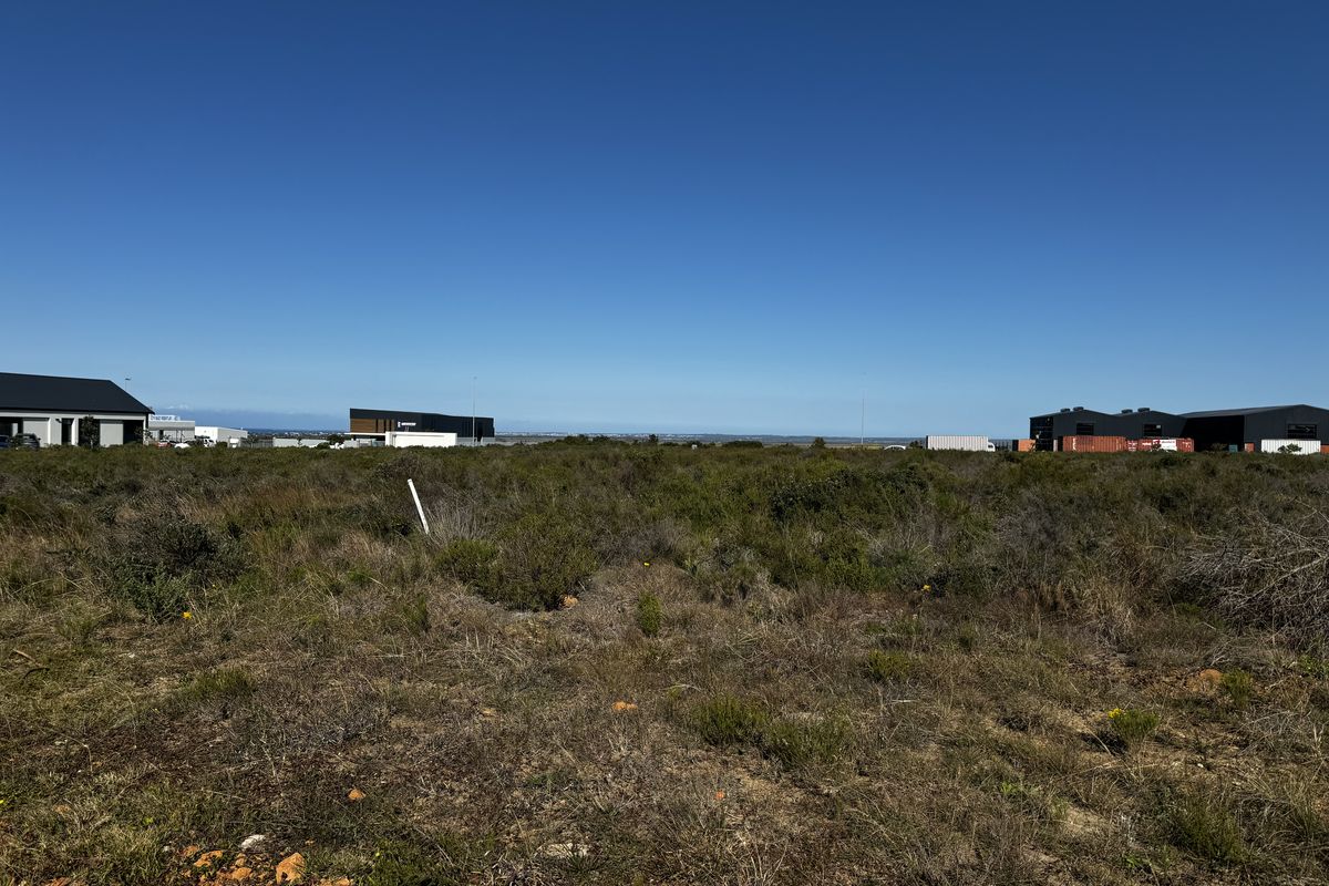 What a Fantastic Opportunity! - Photo 4