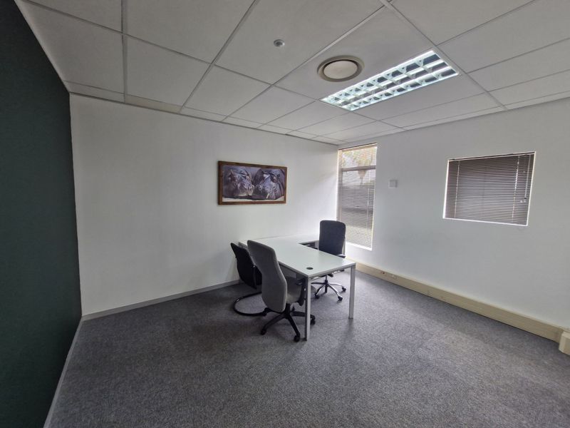 A functional commercial office space featuring a suspended ceiling, recessed lighting, carpeted flooring, and venetian blinds on the windows.