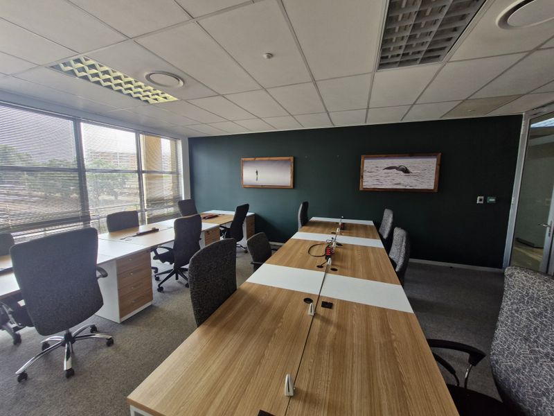A professional office space featuring a suspended ceiling, recessed lighting, large windows with venetian blinds, and carpeted flooring.