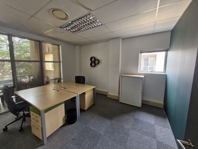 A functional commercial office space featuring carpeted flooring, suspended ceilings with recessed lighting, and large windows with venetian blinds.