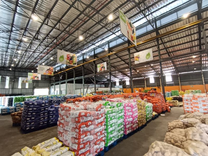 Spacious industrial warehouse facility featuring high-clearance steel truss roofing, efficient high-bay lighting, and durable concrete flooring, currently utilized for bulk produce storage.