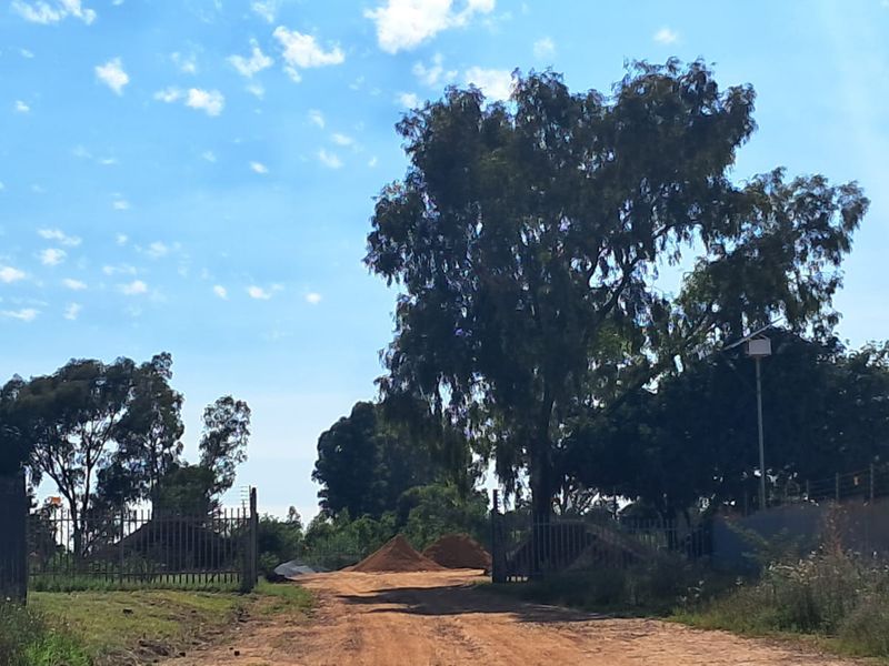 A view of the vacant commercial land featuring a dirt access road, perimeter fencing, and mature trees on the property.