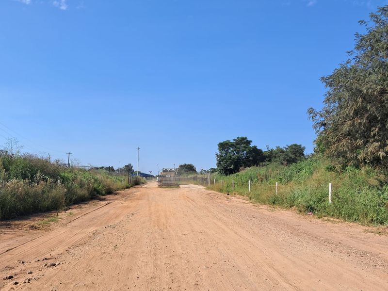 A view of an unpaved access road leading to a vacant commercial property, featuring surrounding natural vegetation and utility poles.