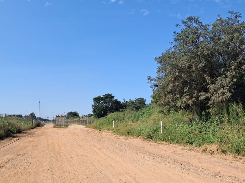 A view of a dirt access road leading to a gated entrance on a vacant commercial land plot.