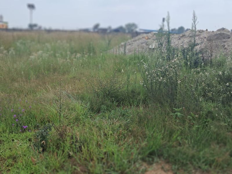 An undeveloped commercial land plot featuring overgrown grass, piles of earth, and stacked concrete pipes, offering a blank canvas for future development.