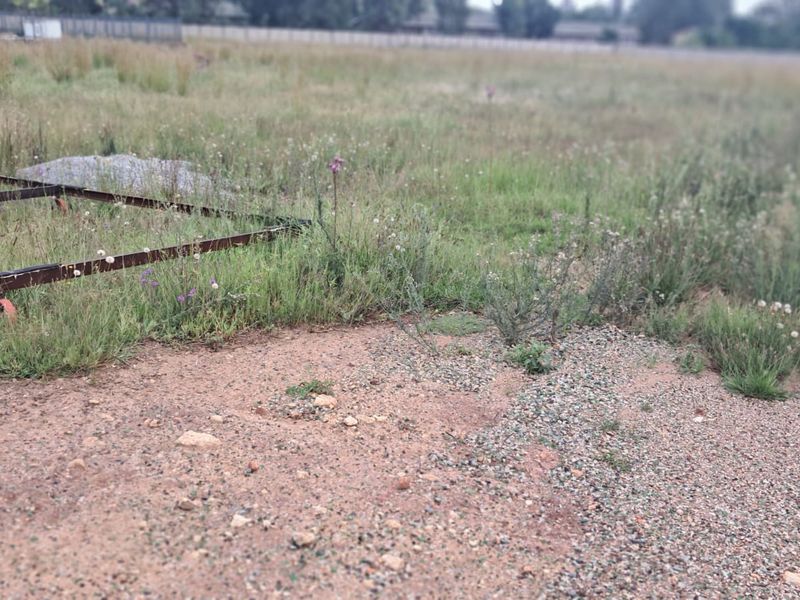 A view of an undeveloped commercial vacant land plot featuring natural grass cover and gravel ground surface.