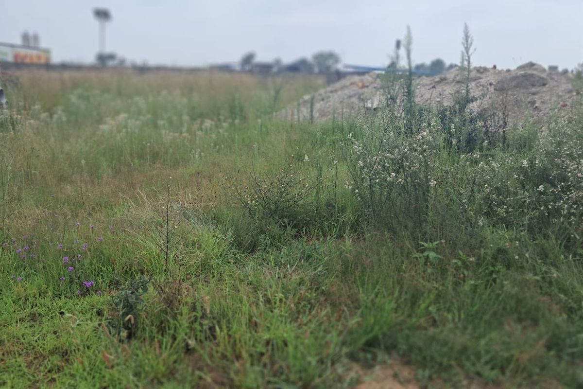 An undeveloped commercial land plot featuring overgrown grass, piles of earth, and stacked concrete pipes, offering a blank canvas for future development.