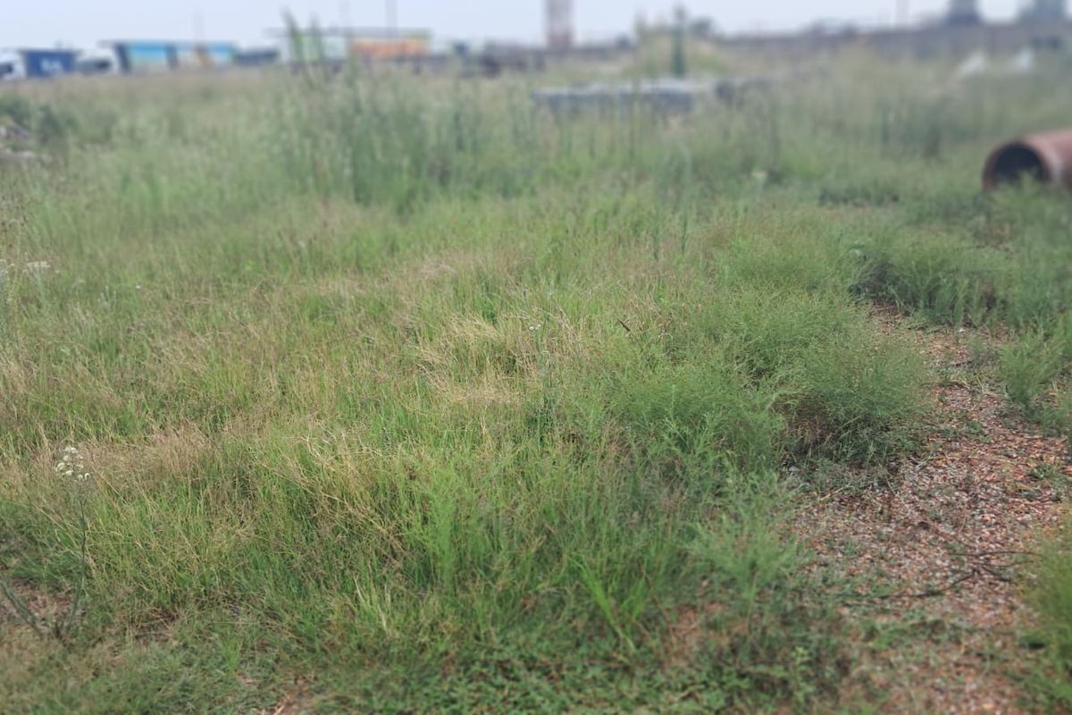 A view of a vacant commercial land plot featuring overgrown grass and natural terrain, suitable for future development.