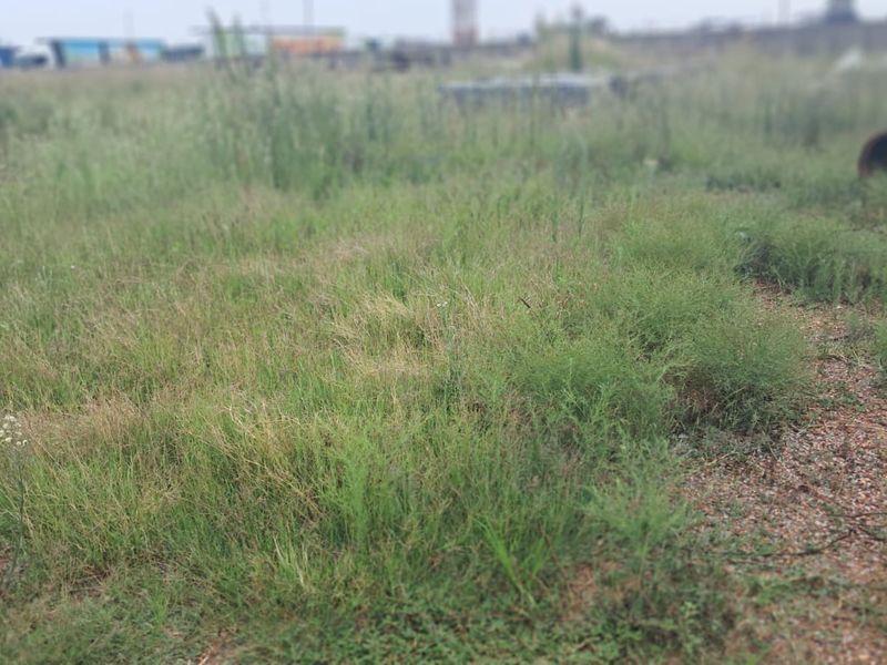 A view of a vacant commercial land plot featuring overgrown grass and natural terrain, suitable for future development.