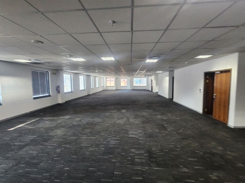 A spacious, open-plan office area featuring a suspended ceiling, recessed lighting, and dark carpet tiles, providing a clean and versatile workspace.
