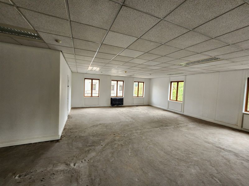 A spacious, vacant office area featuring a suspended ceiling with recessed lighting and multiple timber-framed windows, ready for refurbishment.