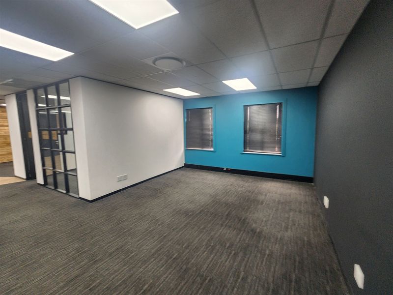A vacant office space featuring a suspended ceiling with recessed lighting, carpeted flooring, and a modern aluminium-framed glass partition.