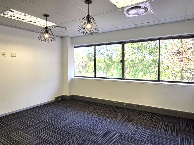 A bright, empty office space featuring carpet tiles, a suspended ceiling with integrated lighting, and large windows providing natural light and greenery views.