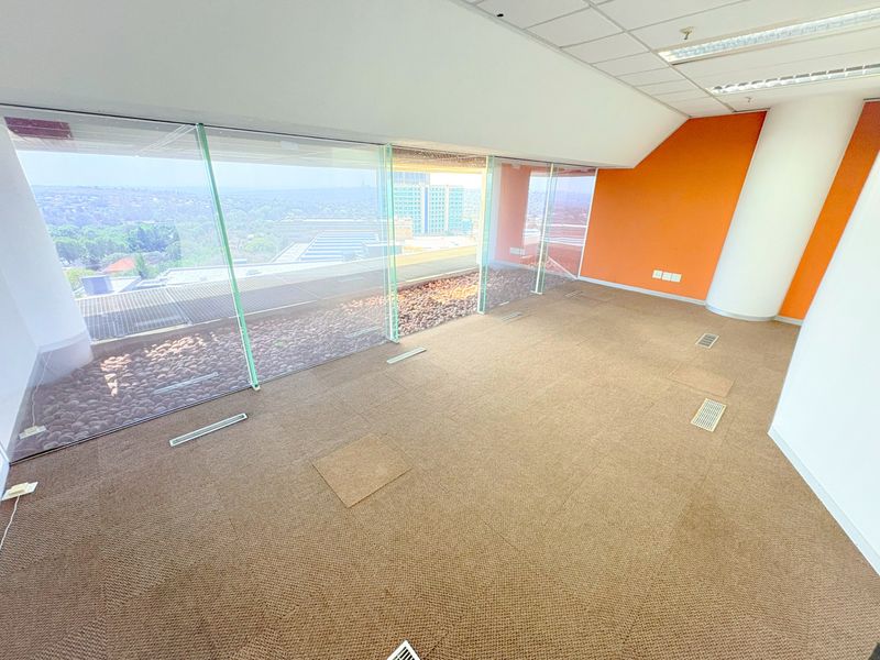 An empty, open-plan office space featuring floor-to-ceiling windows with city views, carpeted flooring, and a suspended ceiling with integrated lighting.
