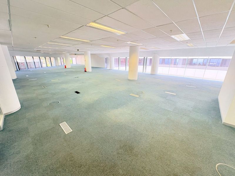 A spacious, open-plan office area featuring suspended ceilings, recessed lighting, large windows, and carpeted flooring with integrated floor power access points.