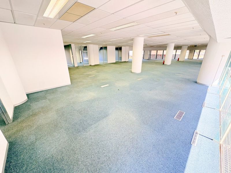 A spacious, open-plan office area featuring suspended ceilings, recessed lighting, structural columns, and large windows, providing a versatile workspace ready for customization.