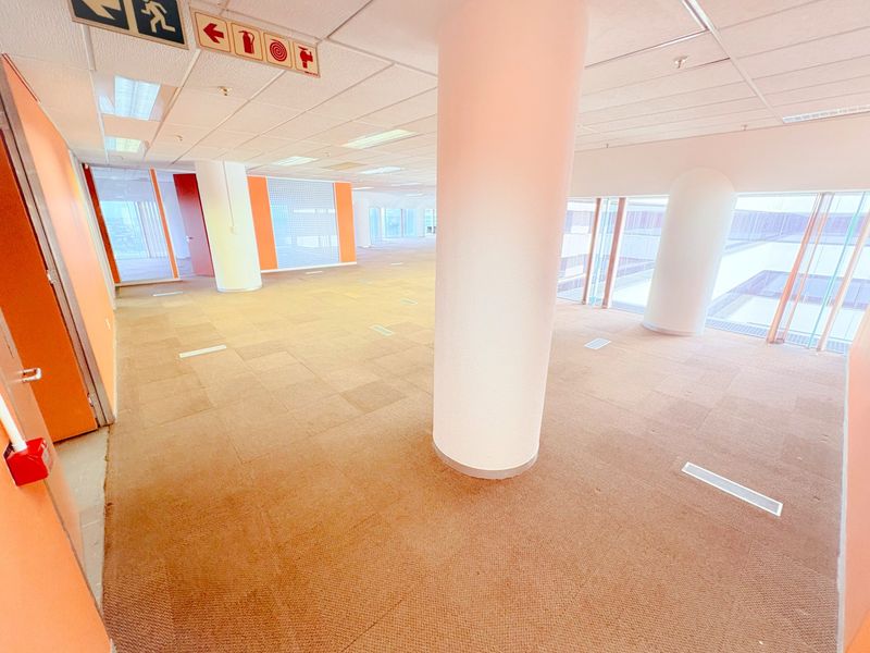 Spacious open-plan office area featuring carpeted flooring, structural columns, suspended ceilings with recessed lighting, and large windows providing ample natural light.