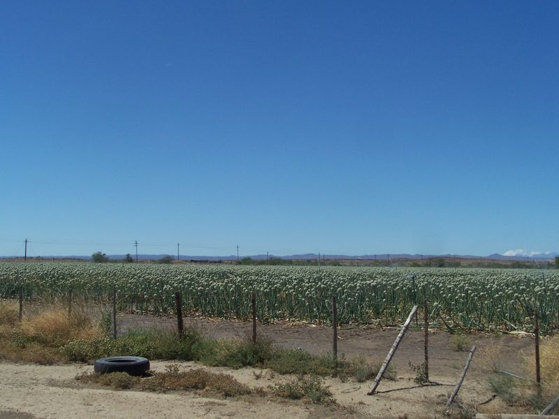 Irrigation and Livestock - Photo 9