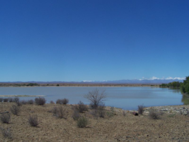 Irrigation and Livestock - Photo 8