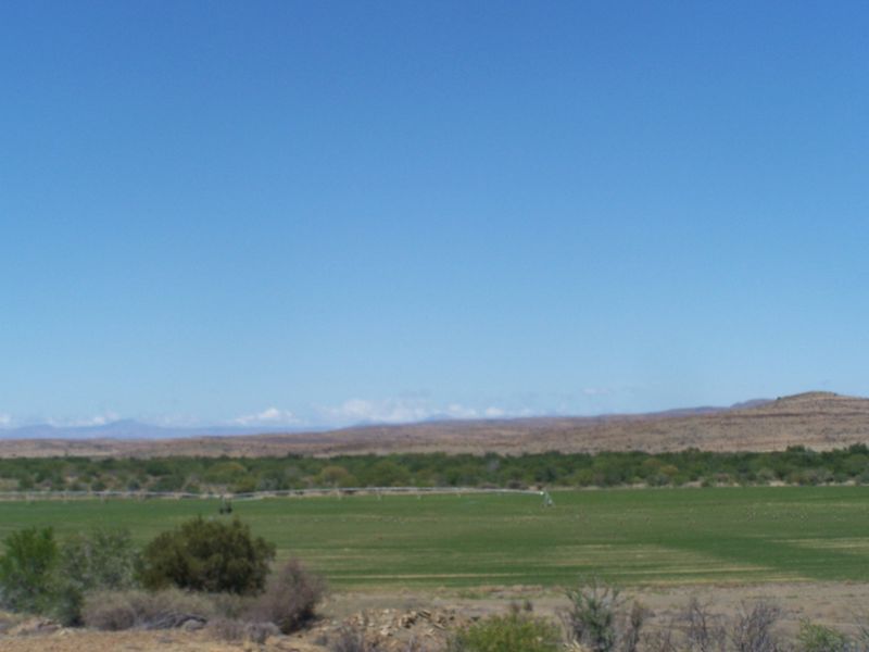 Irrigation and Livestock - Photo 7