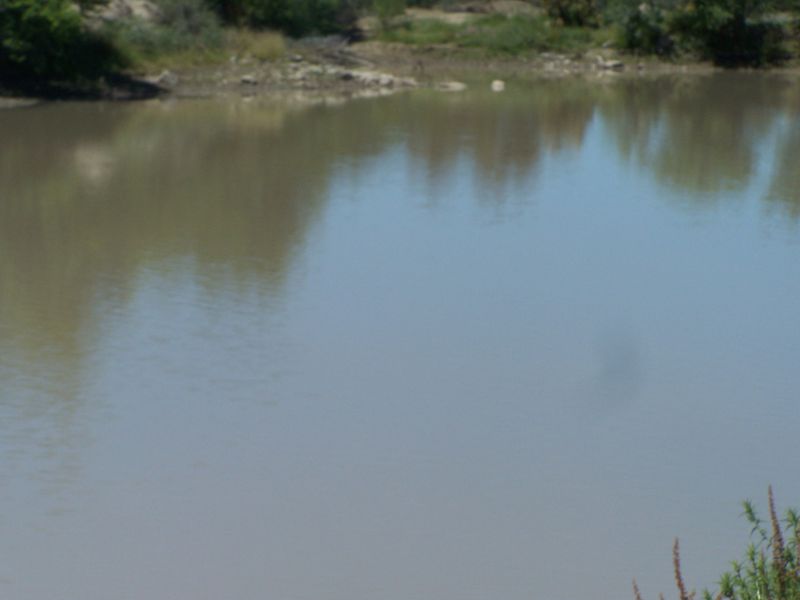 Irrigation and Livestock - Photo 5