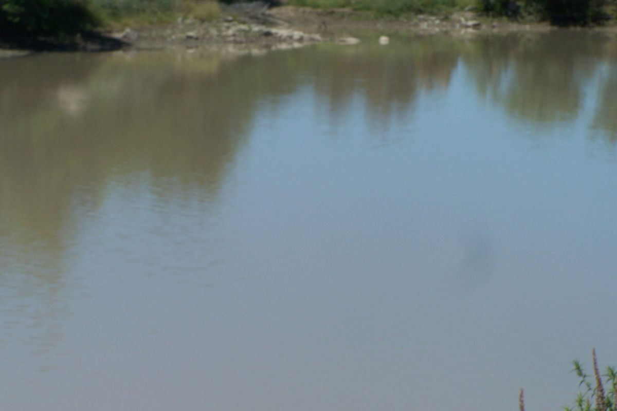 Irrigation and Livestock - Photo 5