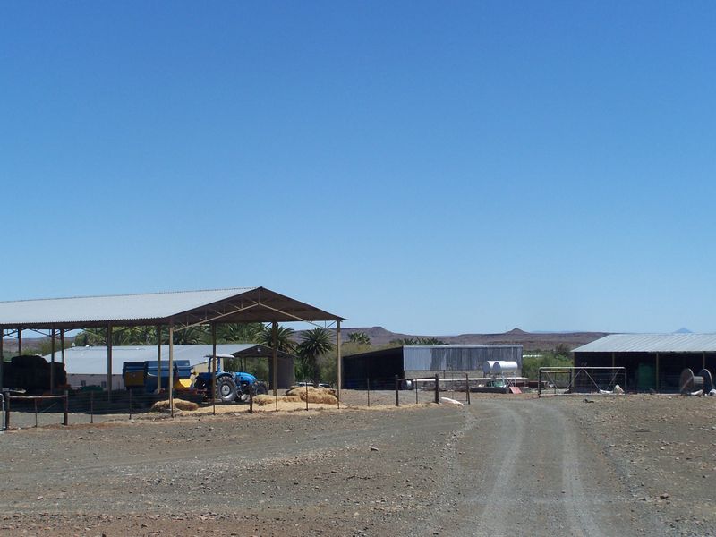 Irrigation and Livestock - Photo 3