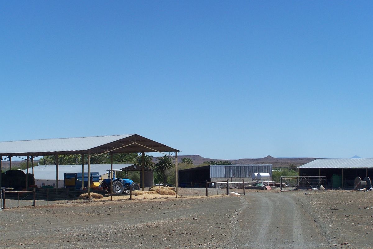 Irrigation and Livestock - Photo 3