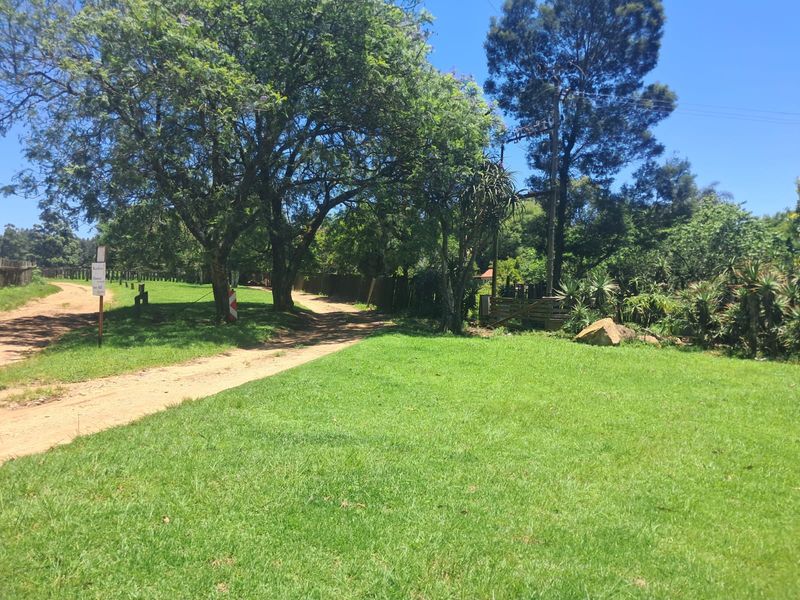 Small Holding For Sale In Piet Retief - Photo 10