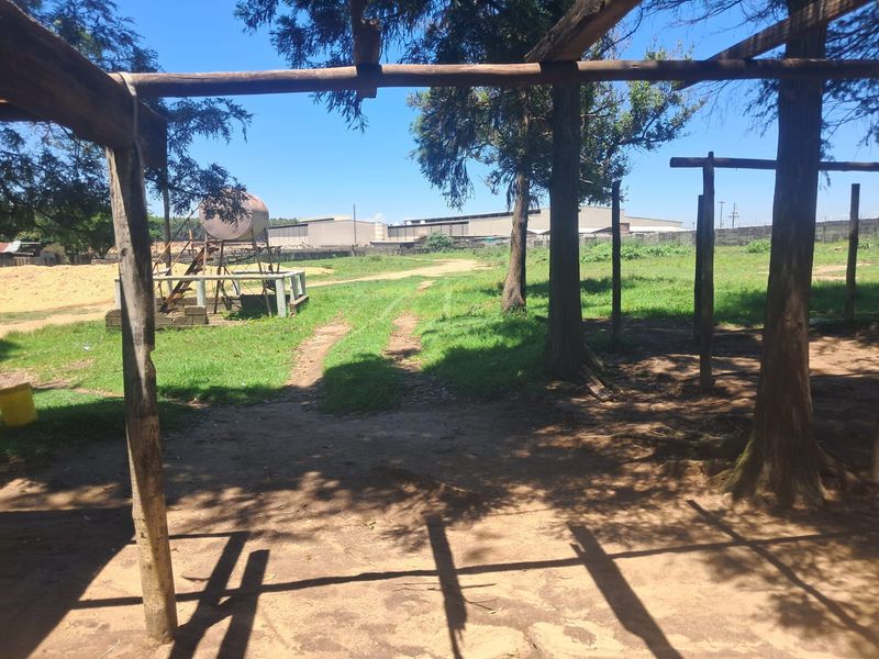 Small Holding For Sale In Piet Retief - Photo 9