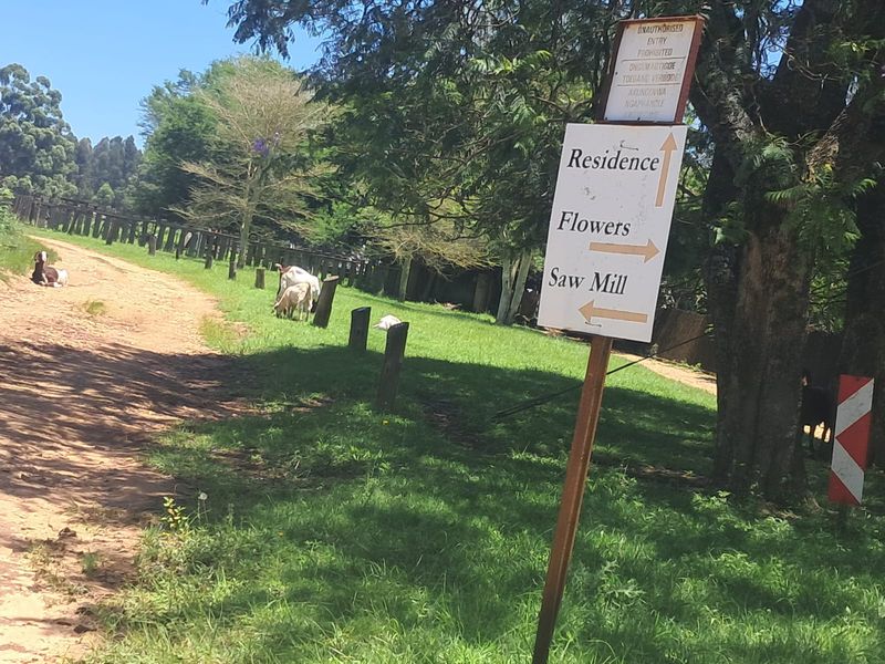 Small Holding For Sale In Piet Retief - Photo 2