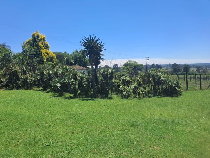 Small Holding For Sale In Piet Retief - Photo 6